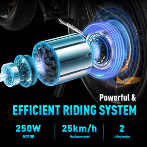 HITWAY Vélo Électrique, 26 * 3.0/4.0 Pouces VTT Électrique avec Batterie au Lithium Amovible 48V15Ah, Ville E - Bike avec 7 Vitesses, Moteur 250Wh, Autonomie 45 - 80km pour Adulte - fitnessterapy