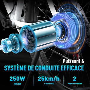 HITWAY Vélo Électrique, 26 * 3.0/4.0 Pouces VTT Électrique avec Batterie au Lithium Amovible 48V15Ah, Ville E - Bike avec 7 Vitesses, Moteur 250Wh, Autonomie 45 - 80km pour Adulte - fitnessterapy