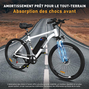 HITWAY Vélo Électrique, VTT Électrique avec Batterie au Lithium Amovible 36V12Ah, Ville E - Bike avec 7 Vitesses, Moteur 250W, Autonomie 35 - 90km pour Adulte - fitnessterapy