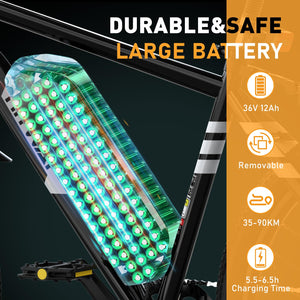 HITWAY Vélo Électrique, VTT Électrique avec Batterie au Lithium Amovible 36V12Ah, Ville E - Bike avec 7 Vitesses, Moteur 250W, Autonomie 35 - 90km pour Adulte - fitnessterapy
