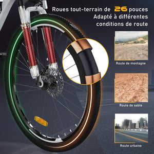 HITWAY Vélo Électrique, VTT Électrique avec Batterie au Lithium Amovible 36V12Ah, Ville E - Bike avec 7 Vitesses, Moteur 250W, Autonomie 35 - 90km pour Adulte - fitnessterapy
