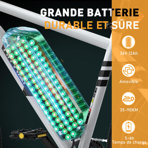 HITWAY Vélo Électrique, VTT Électrique avec Batterie au Lithium Amovible 36V12Ah, Ville E - Bike avec 7 Vitesses, Moteur 250W, Autonomie 35 - 90km pour Adulte - fitnessterapy