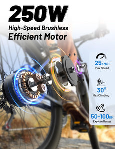 OneSportWay DUOTTS C29 Vélo Électrique, E - Bike Batterie Amovible 48V 15Ah et Moteur 250W, VTT électrique 21 Vitesses Professionnelles avec Écran LCD, Banlieue Électrique pour Hommes et Femmes - fitnessterapy