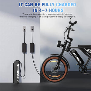 RCB 20" Vélo électrique, VTT Électrique Adulte, Batterie Amovible 48V15Ah,Moteur 250Wh, Ville E - Bike avec 7 Vitesses, Autonomie 35 - 90 km - fitnessterapy
