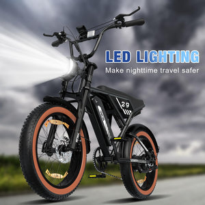 RCB 20" Vélo électrique, VTT Électrique Adulte, Batterie Amovible 48V15Ah,Moteur 250Wh, Ville E - Bike avec 7 Vitesses, Autonomie 35 - 90 km - fitnessterapy