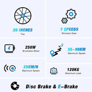 RCB 20" Vélo électrique, VTT Électrique Adulte, Batterie Amovible 48V15Ah,Moteur 250Wh, Ville E - Bike avec 7 Vitesses, Autonomie 35 - 90 km - fitnessterapy