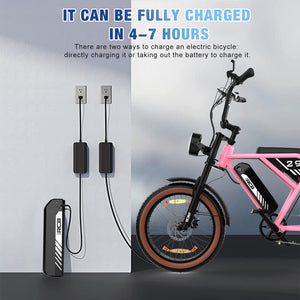 RCB 20" Vélo électrique, VTT Électrique Adulte, Batterie Amovible 48V15Ah,Moteur 250Wh, Ville E - Bike avec 7 Vitesses, Autonomie 35 - 90 km - fitnessterapy