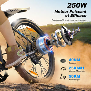 VARUN Velo Electrique, 24"/26"/27.5" VTT Électrique avec 48V/36V Batterie, Jusqu'à 55 - 100KM, 250W Moteur, Vélo Électrique Homme Femme avec 21/1 Vitesses, Écran LCD, Ville E - Bike avec Pédalage Assisté - fitnessterapy