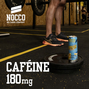 NOCCO Boisson énergissante goût tropical 180 mg caféine 24x330ml Boissons énergétiques, Sans Sucre BCAA (Tropical) - fitnessterapy